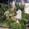 06.jpg